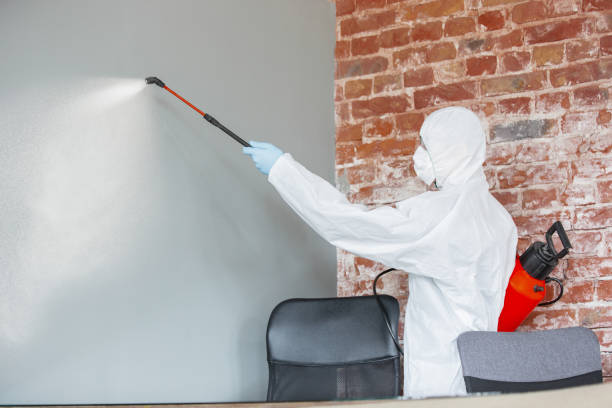 Best Mold-Related Health Consultation  in Hlside, IL